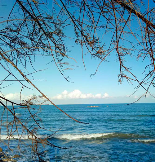 Banner - Agriturismo Frontemare